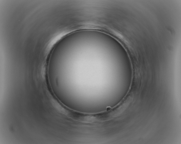 X0000114061463200910191450