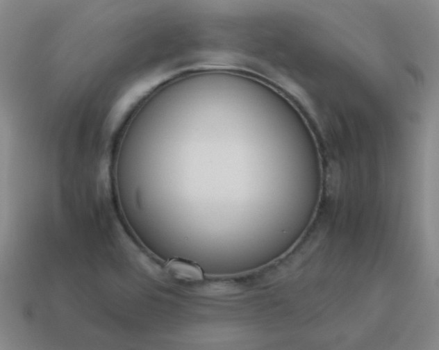 X0000114061464200910191450