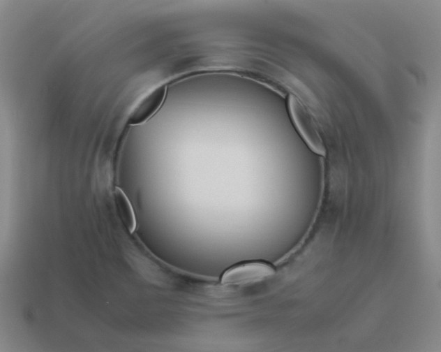 X0000114061465200910191450