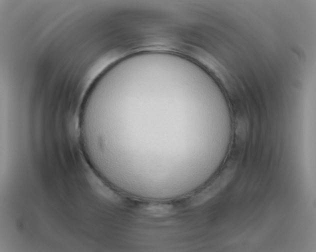 X0000114061466200910191450