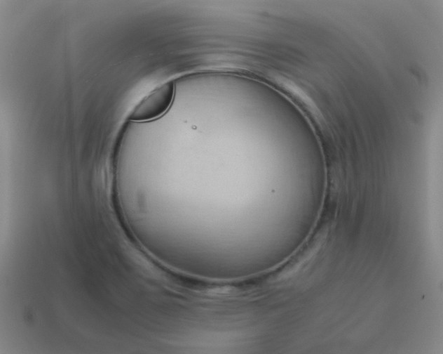 X0000114061467200910191450