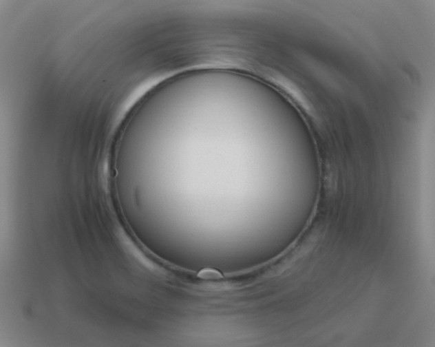 X0000114061468200910191450