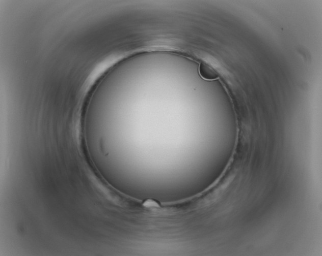 X0000114061469200910191450