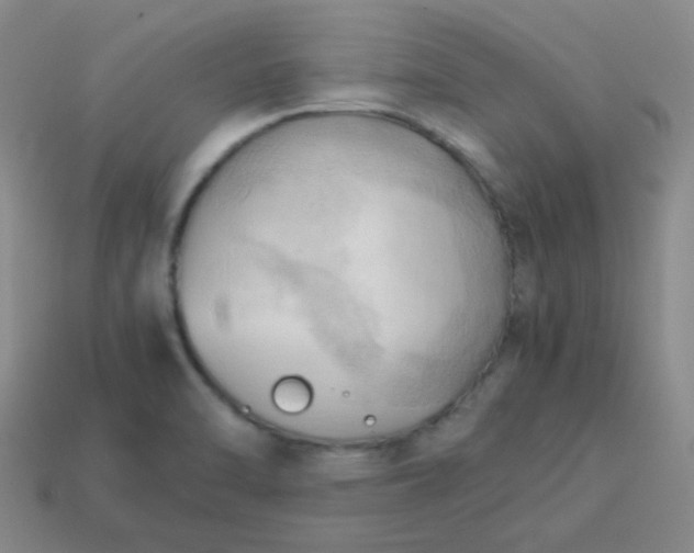 X0000114061470200910191450