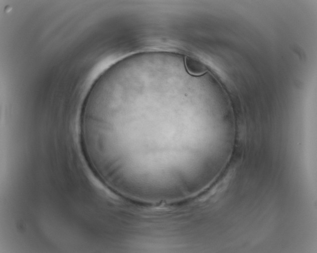 X0000114061471200910191450