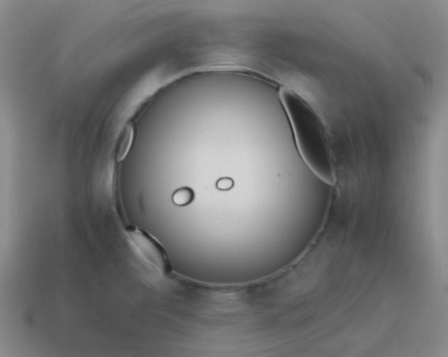 X0000114061472200910191450