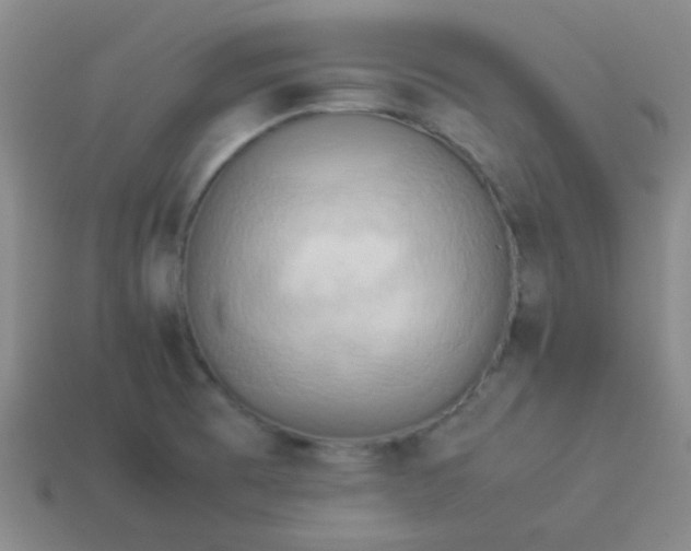 X0000114061473200910191450