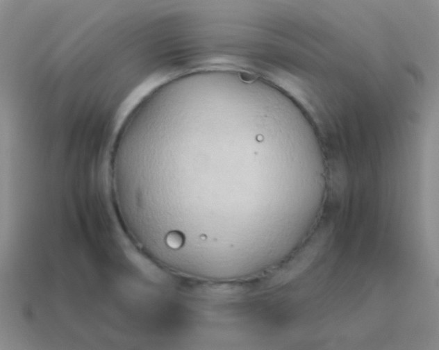 X0000114061474200910191450