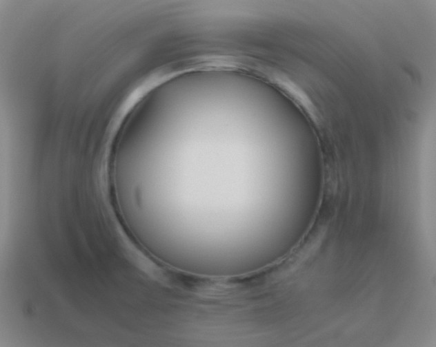 X0000114061475200910191450