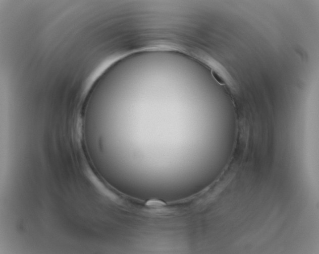 X0000114061476200910191450