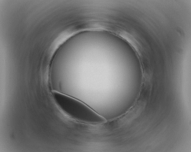 X0000114061477200910191450