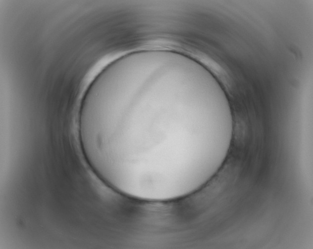 X0000114061478200910191450