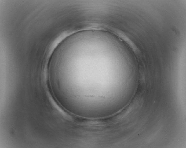 X0000114061479200910191450