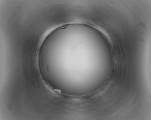 X0000114061480200910191450