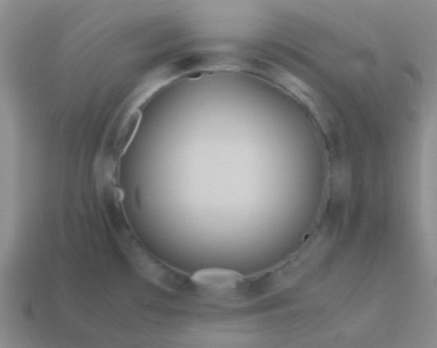 X0000114061481200910191450