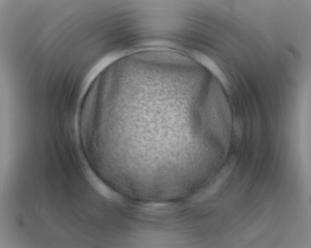 X0000114061482200910191450