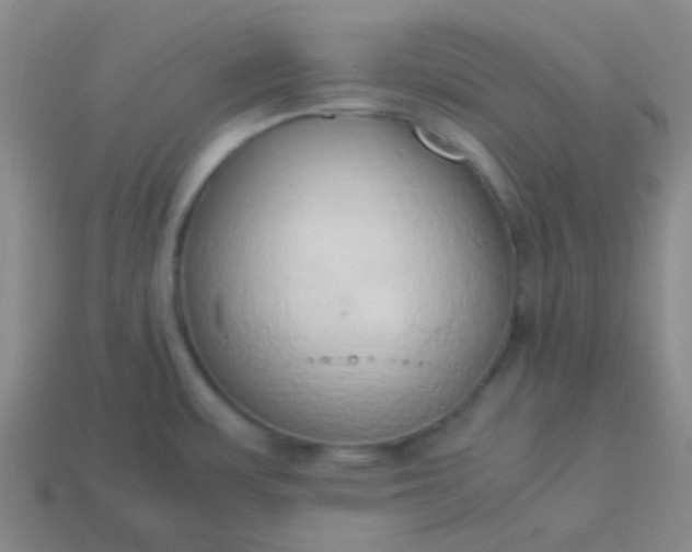 X0000114061483200910191450