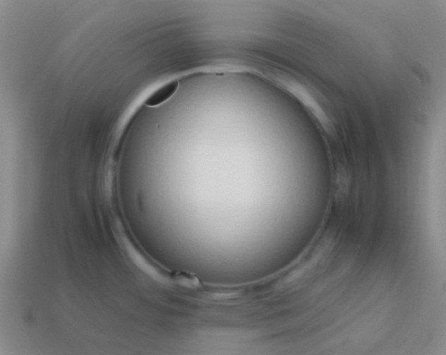 X0000114061484200910191450