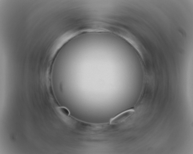 X0000114061485200910191450