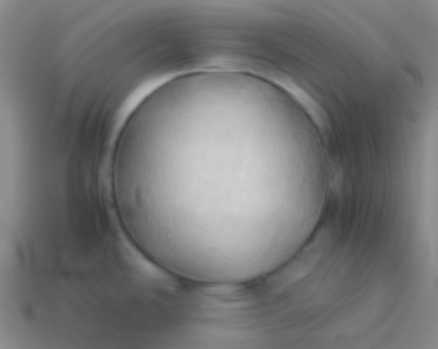 X0000114061486200910191450