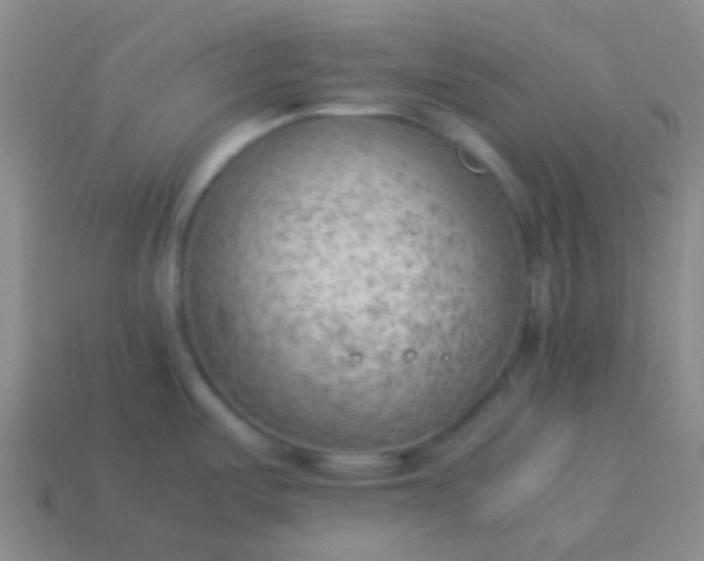 X0000114061487200910191450