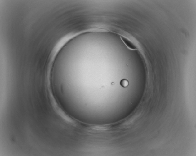 X0000114061488200910191450