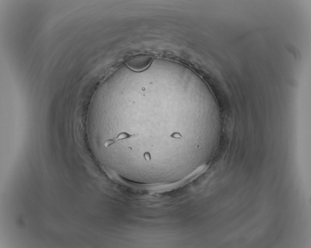 X0000114061489200910191449