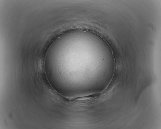 X0000114061490200910191449