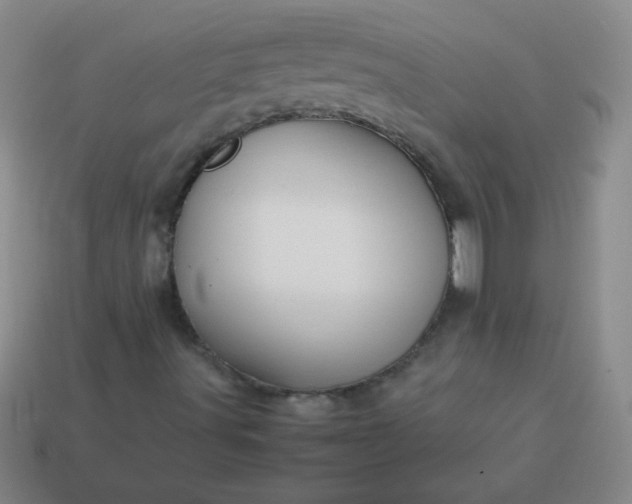 X0000114061491200910191449