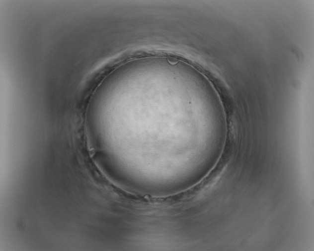 X0000114061494200910191449