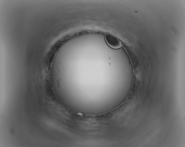 X0000114061495200910191449