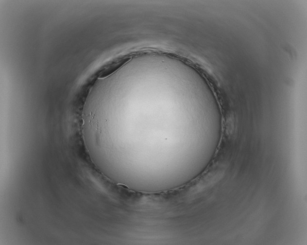 X0000114061496200910191449