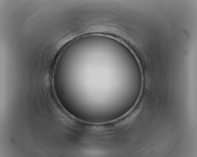 X0000114061497200910191449