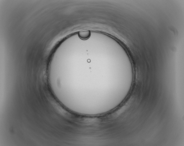 X0000114061498200910191449