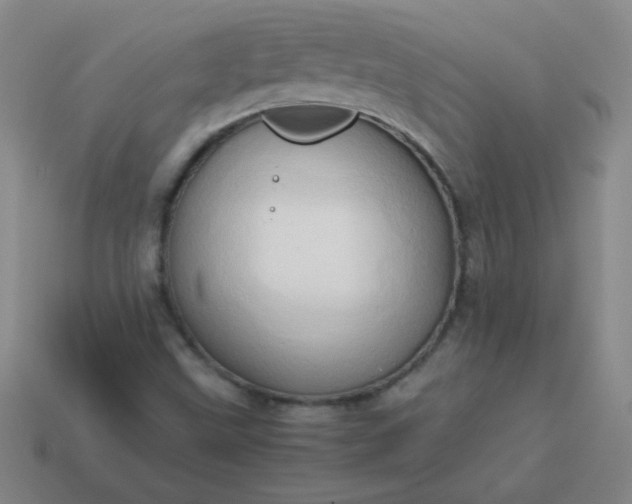 X0000114061499200910191449