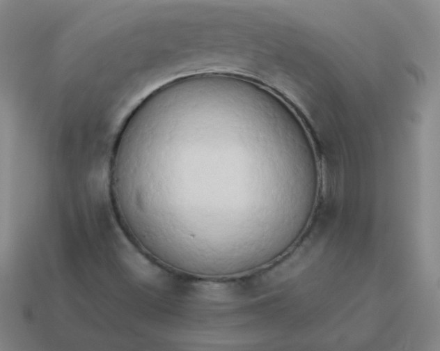 X0000114061500200910191449