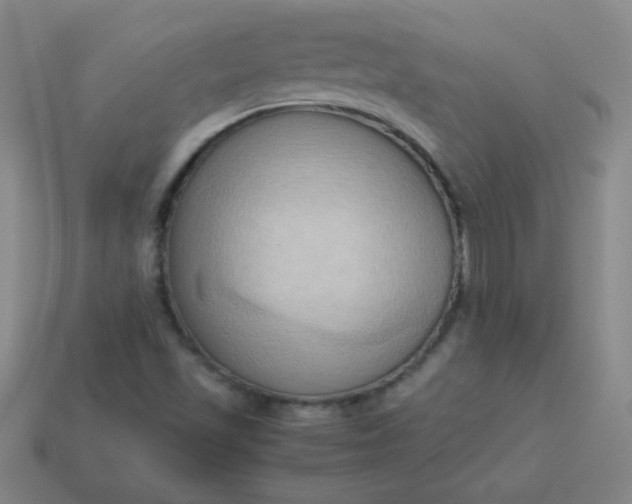 X0000114061501200910191449