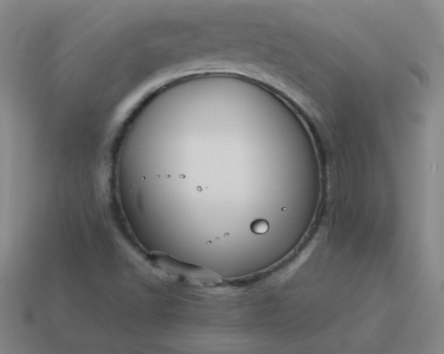 X0000114061502200910191449