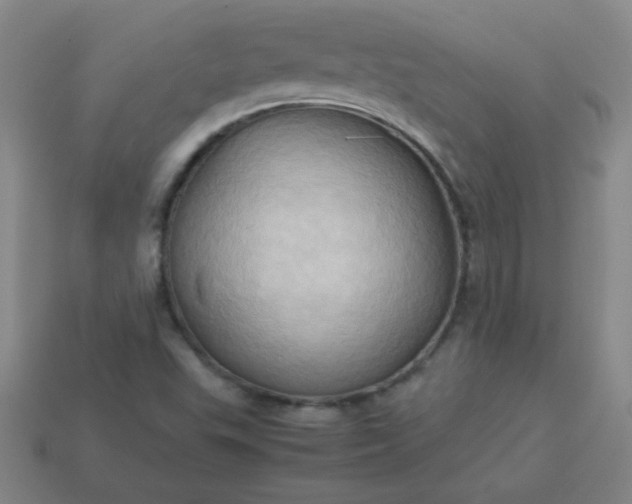 X0000114061503200910191449