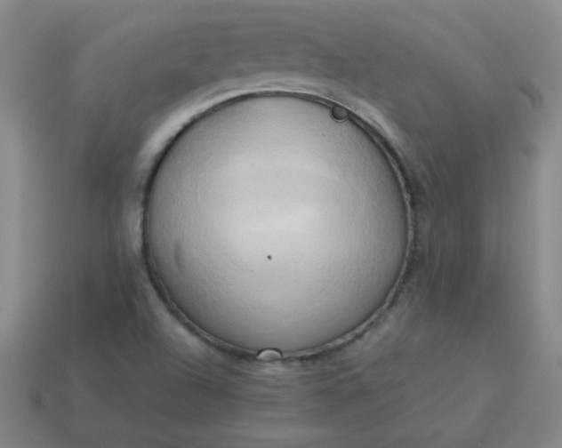 X0000114061504200910191449