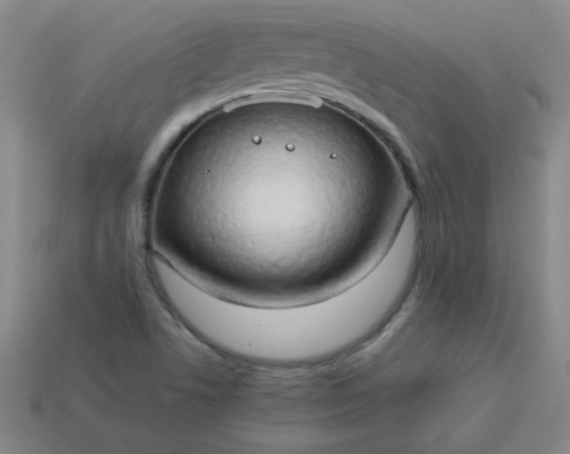 X0000114061506200910191449