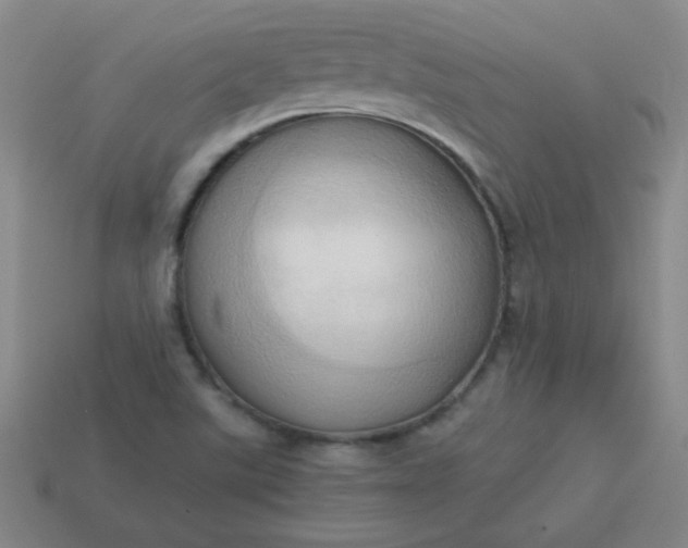 X0000114061507200910191449