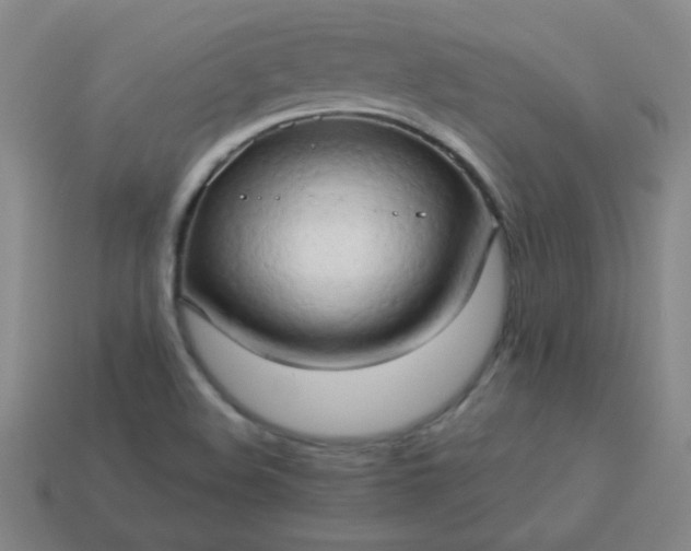 X0000114061508200910191449