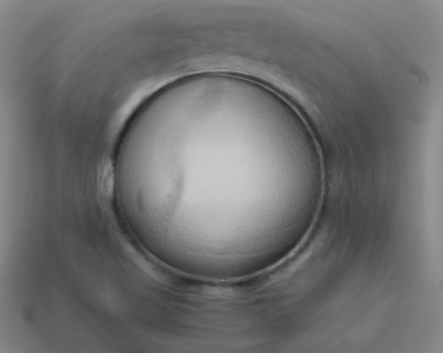 X0000114061509200910191449