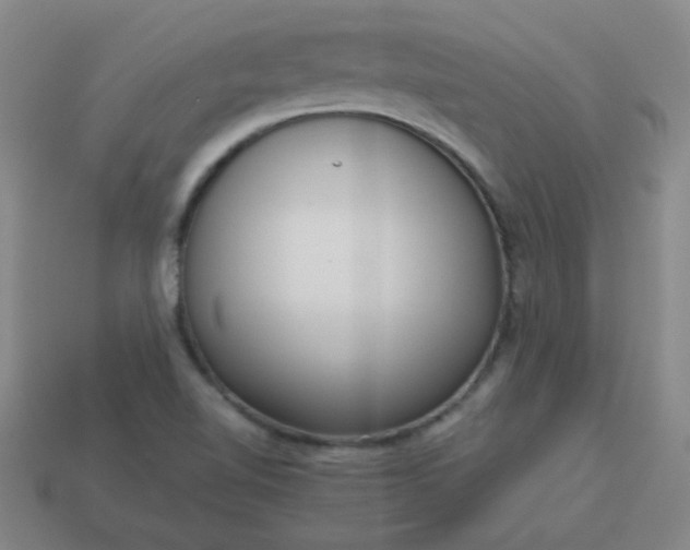 X0000114061510200910191449