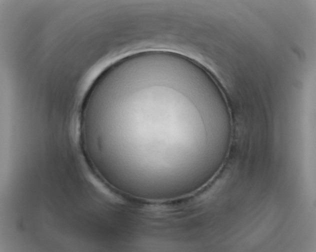 X0000114061511200910191449