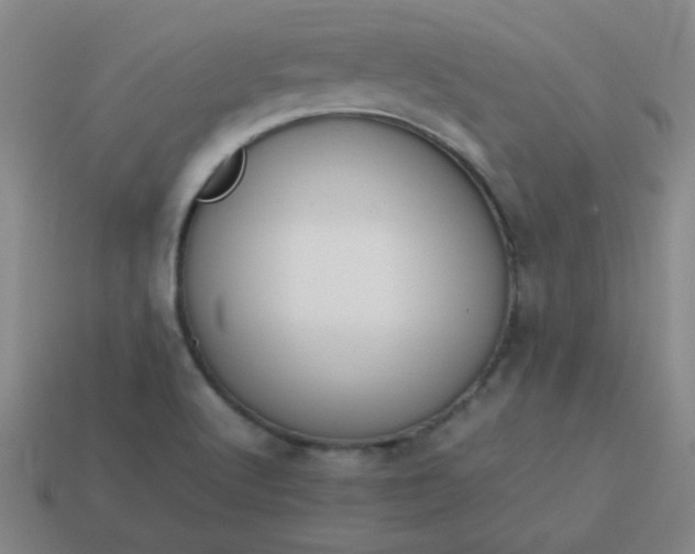 X0000114061512200910191449