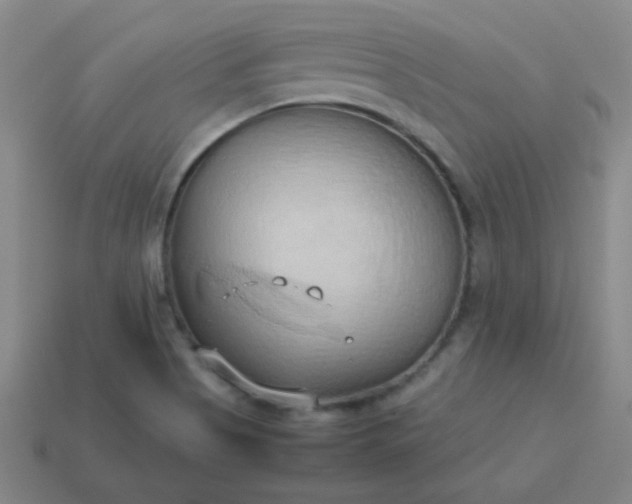 X0000114061513200910191449