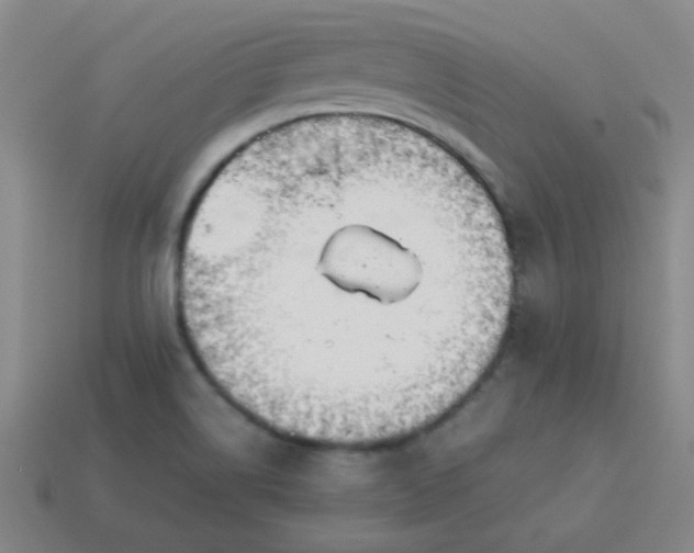 X0000114061514200910191449