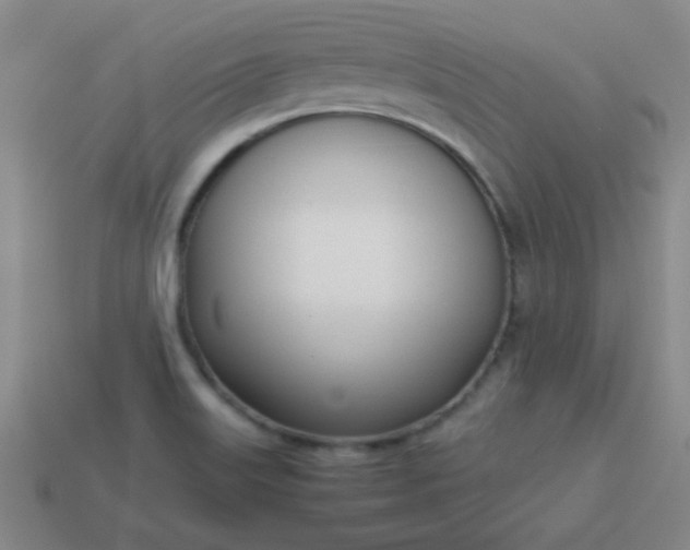 X0000114061515200910191449